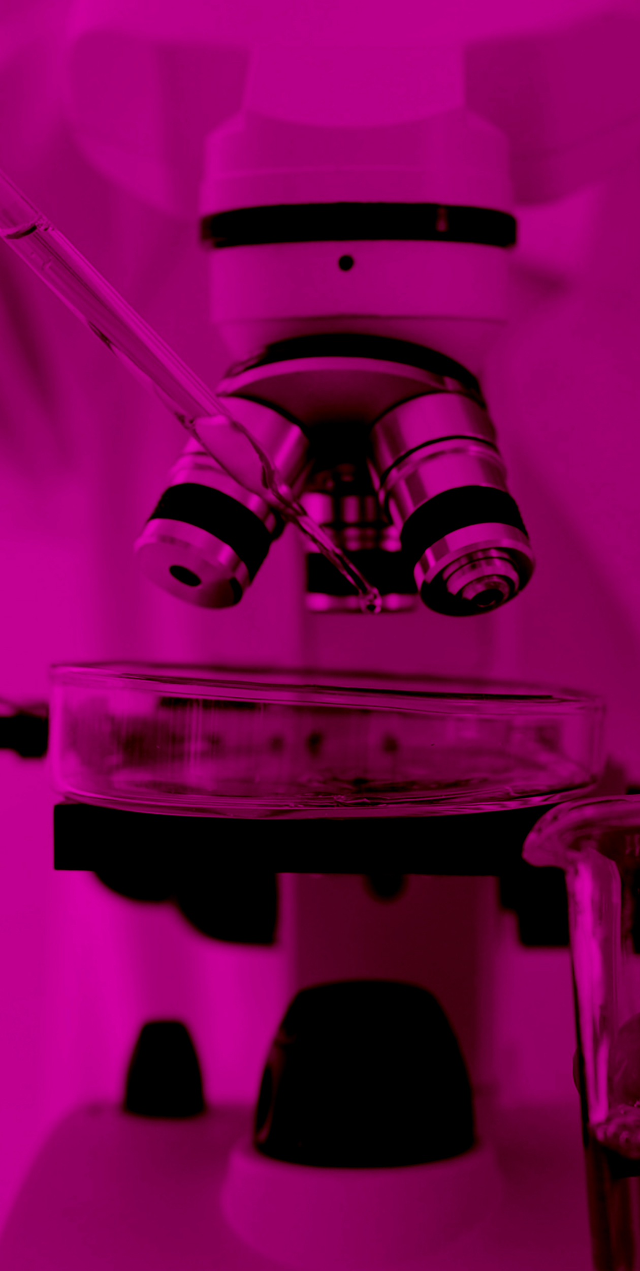 Microscope in a lab with a pink overlay