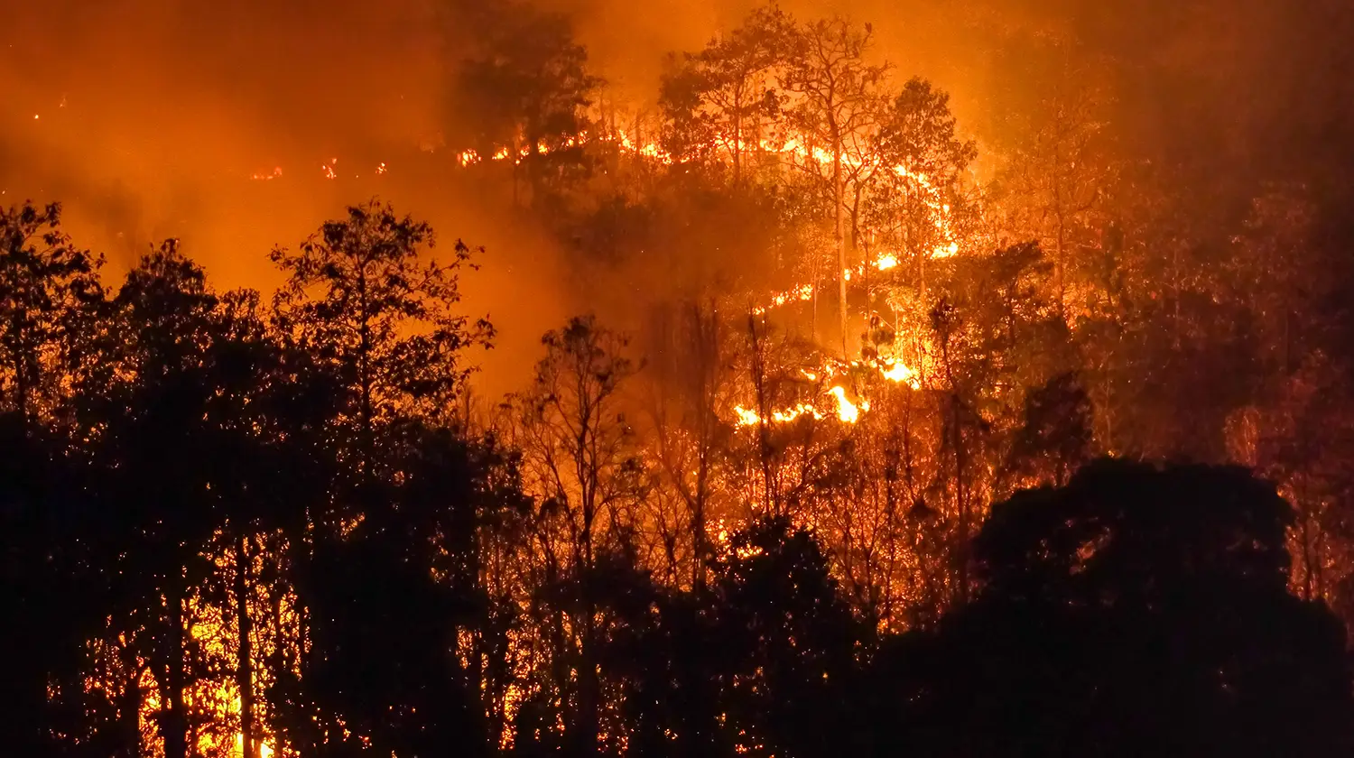 Wildfire at night